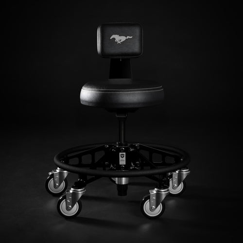 FORD MUSTANG® - SHADOW BLACK