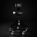 FORD MUSTANG® - SHADOW BLACK (ELEVATED)