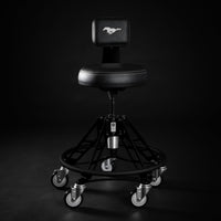 FORD MUSTANG® - SHADOW BLACK (ELEVATED)