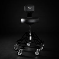 FORD MUSTANG® - SHADOW BLACK (ELEVATED)