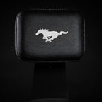FORD MUSTANG® - SHADOW BLACK