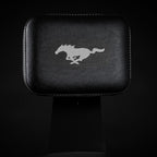 FORD MUSTANG® - SHADOW BLACK