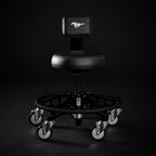 FORD MUSTANG® - SHADOW BLACK