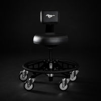 FORD MUSTANG® - SHADOW BLACK