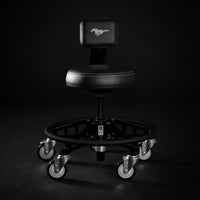 FORD MUSTANG® - SHADOW BLACK