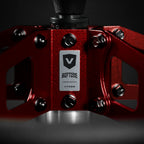 RUPTURE EDITION (ROBUST MODEL)