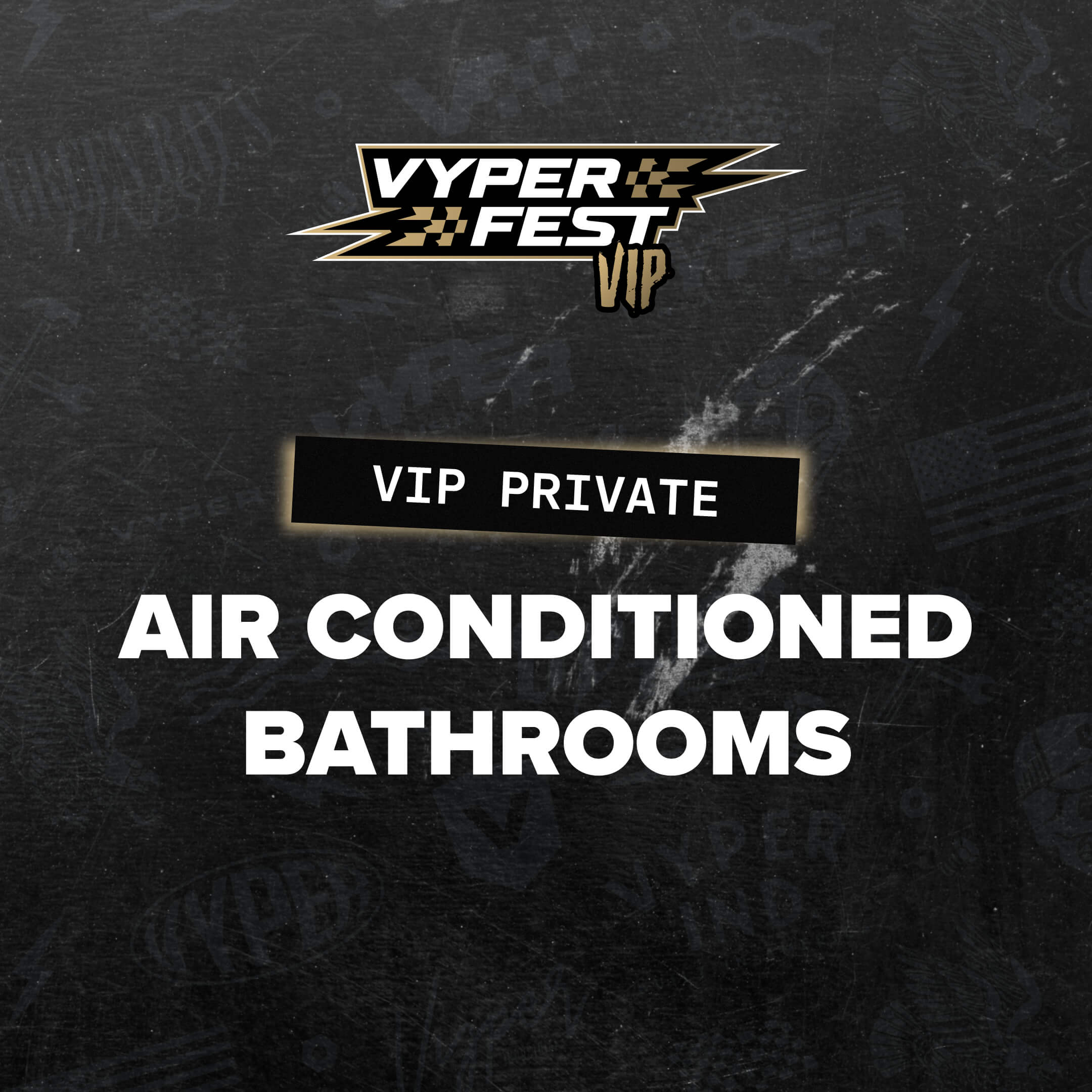 VYPERFEST VIP 2026